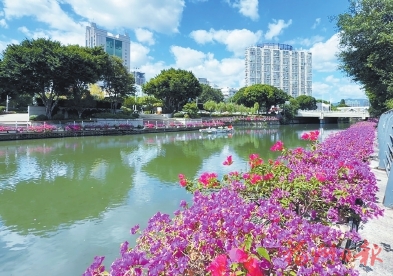 八公里繁花如画